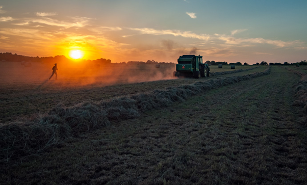 Forever Friends of the Community